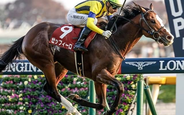 カタールに遠征していた日本馬3頭が帰国