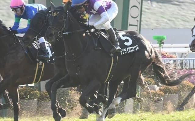 古川吉洋騎手が阪急杯で3年ぶりのJRA重賞制覇へ 伏兵サンライズロナウドで参戦