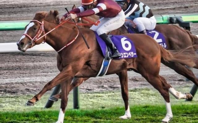 【弥生賞ディープ記念想定】シンエンペラー、サンライズジパングなど12頭