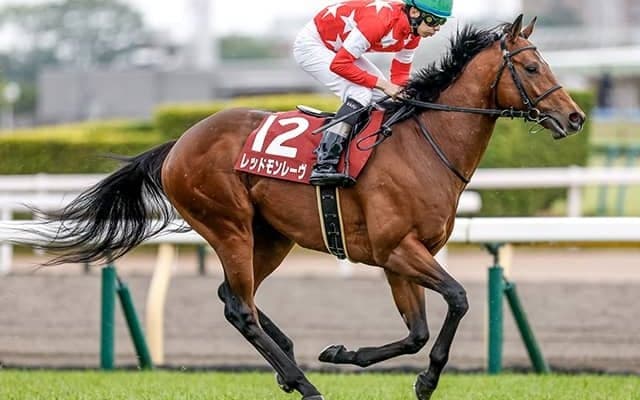 蛯名正義調教師が騎手＆調教師ダブル制覇へ 中山記念に京王杯SC覇者で参戦