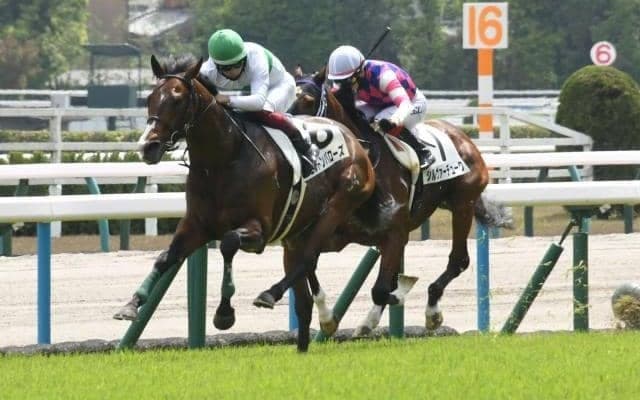 【中山記念予想】AIもイチオシの一頭 どの面から見ても不安要素見当たらず！