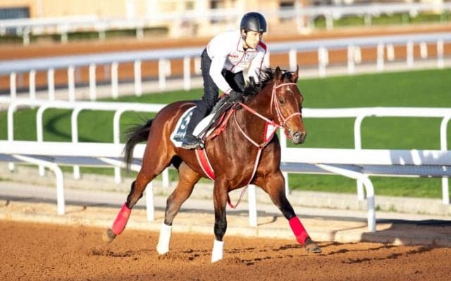 【サウジカップデー】日本出走馬一覧…フォーエバーヤングなど有力馬が集結