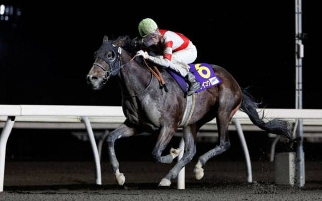 ゴライコウの競走馬登録抹消