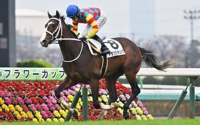 【阪急杯出走馬・騎手確定】アサカラキング＆斎藤新騎手、ウインマーベル＆松山弘平騎手など18頭