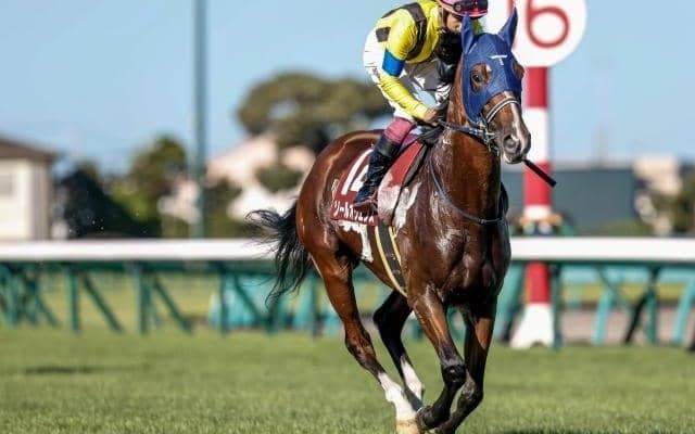 【中山記念出走馬・騎手確定】ソールオリエンス＆田辺裕信騎手、エルトンバローズ＆西村淳也騎手など16頭