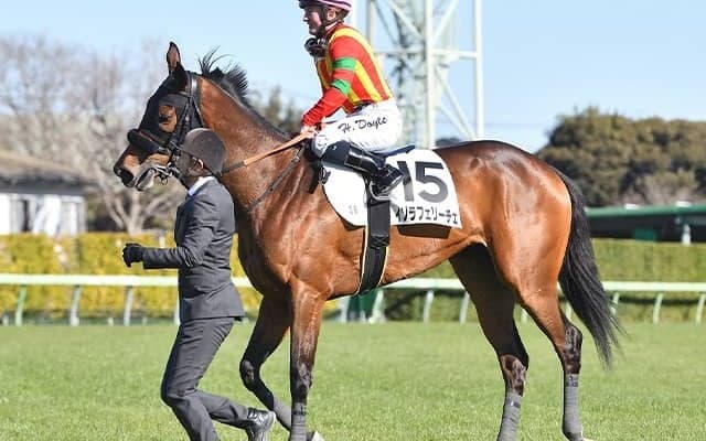 エフフォーリアの半妹が連勝狙う 兄に続くクラシック制覇へデイジー賞参戦