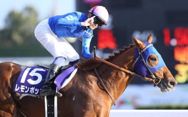 【サウジカップ／血統】アメリカ勢が“連対率33％”で軸候補　4連勝中の父ミスプロ系「レモンポップ制覇なるか」
