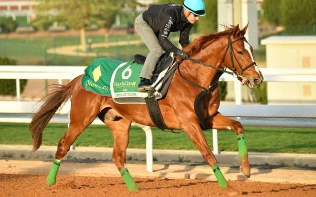 海外なら日本馬に負け知らず デルマソトガケがサウジCで悲願なるか 