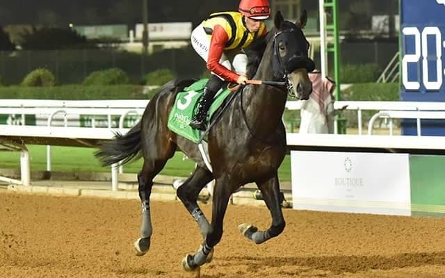 海外重賞2勝のクラウンプライド モレイラ騎手と新コンビでサウジC参戦