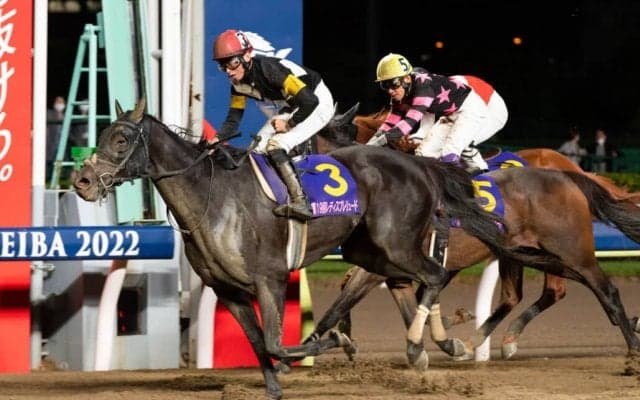 プリティーチャンスの競走馬登録抹消