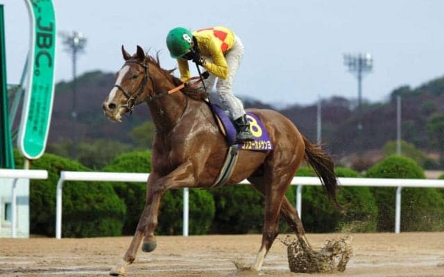 【佐賀・たんぽぽ賞】コウユーカメサンヨが4馬身差完勝…石川倭「出遅れも想定内」