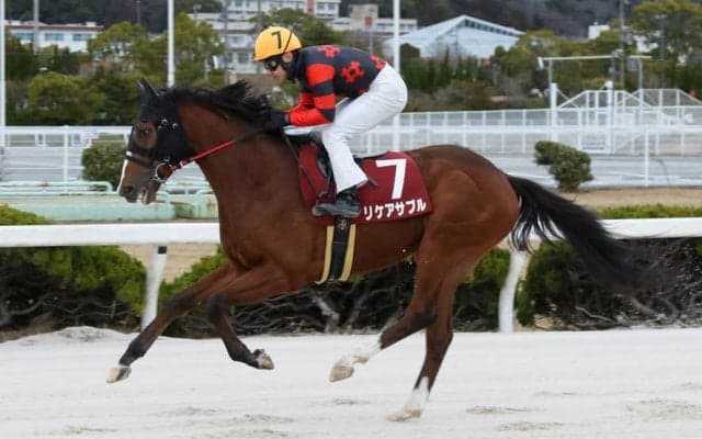 【兵庫ユースC】リケアサブルが快勝…吉原「完全勝利でした」