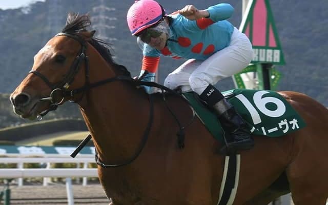 小倉大賞典覇者アリーヴォが登録抹消 全5勝を挙げた小倉巧者