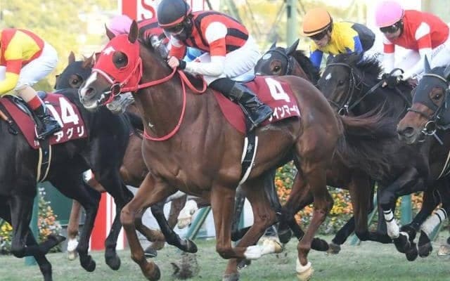 【阪急杯枠順確定】アサカラキングは8枠16番、ウインマーベルは1枠1番