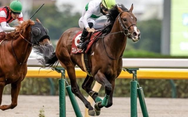 【中山記念枠順確定】ソールオリエンスは2枠3番、エルトンバローズは5枠9番