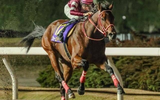 全日本2歳優駿7馬身差Vの実力発揮だ 藤田晋オーナーがサウジダービーで海外重賞初制覇なるか
