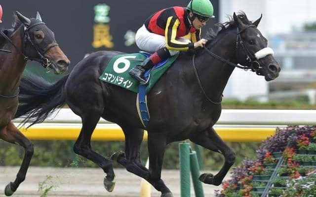 コマンドラインが登録抹消 今後はノーザンファーム天栄で乗馬に