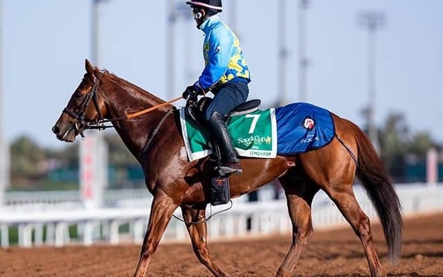 サウジカップの馬券発売開始時刻が決定 インターネット投票は24日の朝7時から