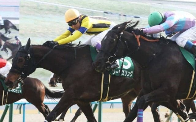 【京都牝馬S】武豊ソーダズリングが重賞初制覇