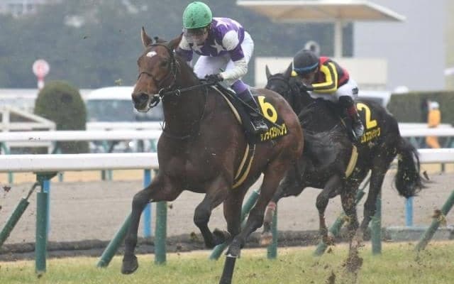 【弥生賞ディープ記念想定馬・騎手】サンライズジパング、シンエンペラーなど12頭