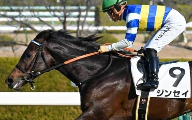 武豊騎手がすみれS歴代最多タイの5勝目狙う 初コンビのジンセイと参戦