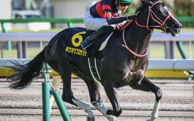 総額8億9000万円 クラシック登竜門・すみれSに豪華メンバー集結