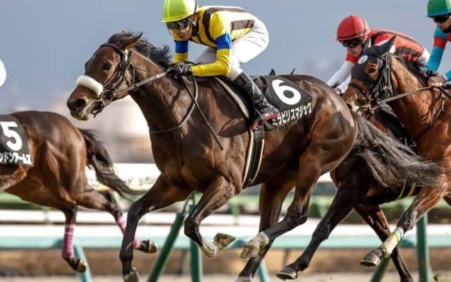 【チューリップ賞想定馬・騎手】ミラビリスマジック、ガルサブランカなど15頭