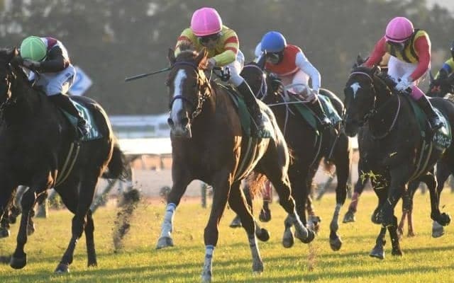 【オーシャンS想定馬・騎手】トウシンマカオ、ビッグシーザーなど24頭