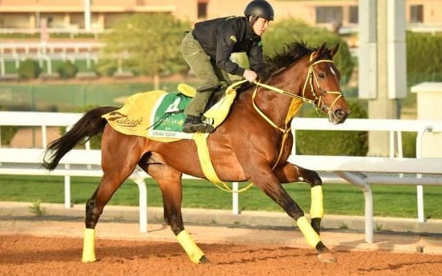 【今日の注目ポイント】深夜にサウジカップデー 日本馬が多数出走