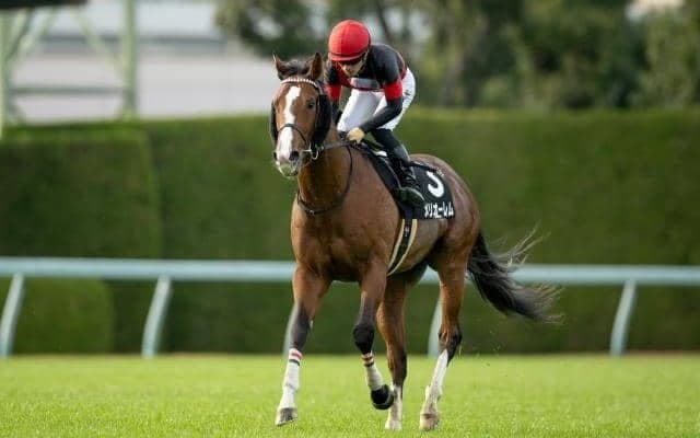 【すみれS】シュヴァルグラン産駒の希望の星 メリオーレムがクラシックに飛躍するか