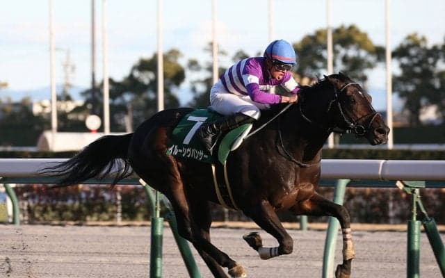 中山記念で注目は「直近10年で４勝」のハーツクライ産駒２頭　人気薄だがチャンスあり