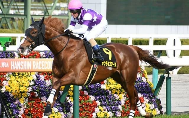 【すみれS結果】7番人気サンライズアースが無傷の2連勝