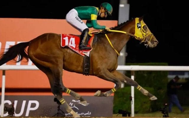 【サウジカップ2024】日本馬が“イクイノックス超え”へ　現実味帯びる「生涯獲得賞金30億円」突破