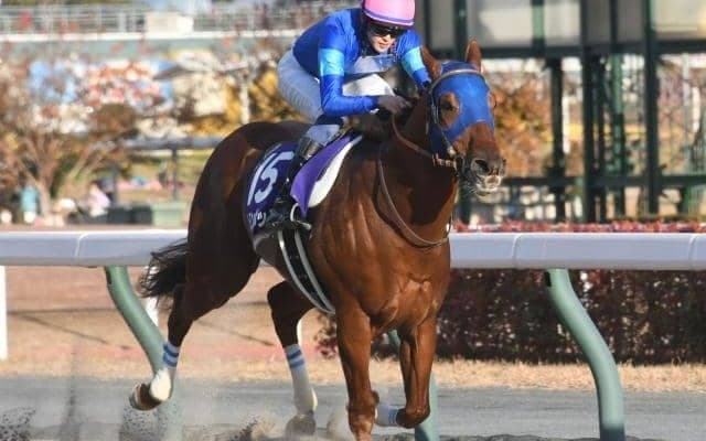 【サウジC最新オッズ】日本勢ではレモンポップらが支持集める 米国のホワイトアバリオが1番人気