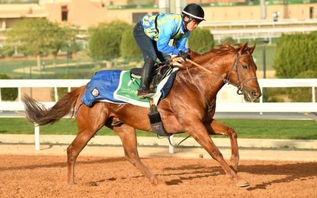 【サウジCデー見どころ】日本から6競走に計21頭が参戦 メインは1着賞金約15億円のサウジC