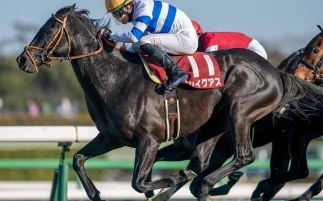 中山芝は内有利＆パワー重視 条件揃ったヒシイグアスを狙い撃ち