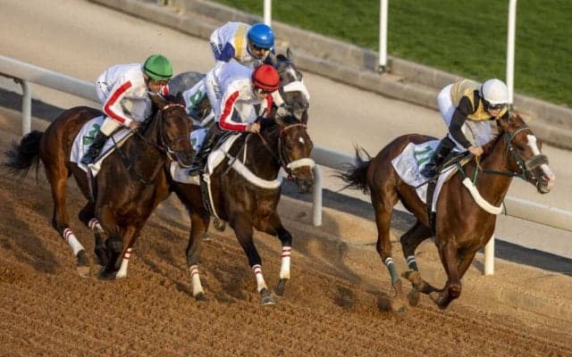 【サウジカップデー】坂井瑠星騎手、インターナショナルジョッキーズチャレンジに参戦して6位…「素晴らしい機会を与えてもらい感謝」