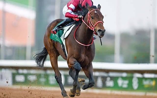 【サウジダービー結果】フォーエバーヤングがゴール寸前で差し切りV！ 海外重賞初制覇！