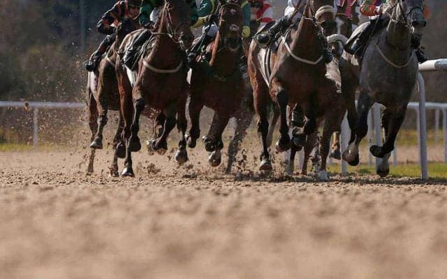 【サウジカップ2024】ウシュバテソーロに“勝機到来”か　日本馬Vの2戦に「外差し優位」の馬場傾向浮上