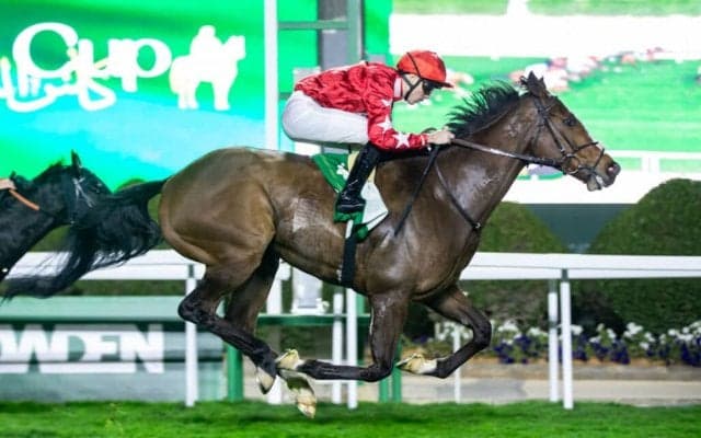 【ネオムターフカップ】日本勢はキラーアビリティが2着…英スピリットダンサーが差し切る