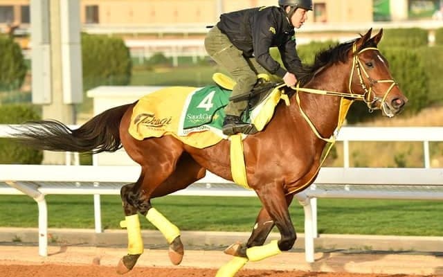 【サウジC結果】米国のセニョールバスカドールがV　日本のウシュバテソーロ僅差の2着