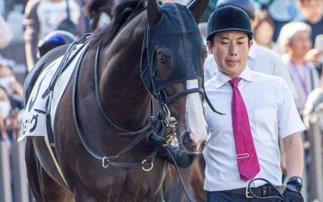 半兄は菊花賞馬キセキ ハミングが2戦目で未勝利卒業なるか