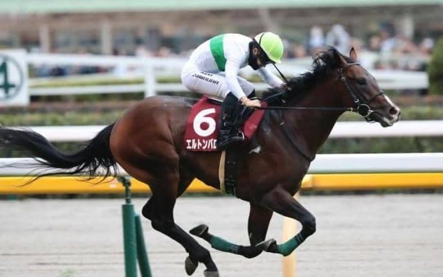 【中山記念】春のビッグレースに向かって多くの実績馬が始動