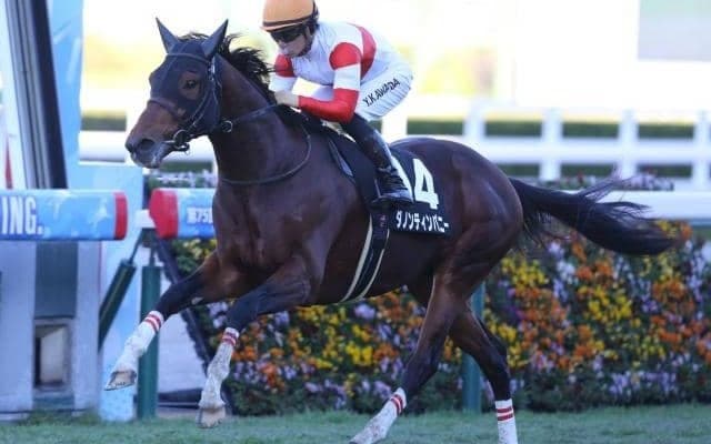 【阪急杯予想】予想のカギを握るのは“リピーター” コース適性が勝負を左右する一戦