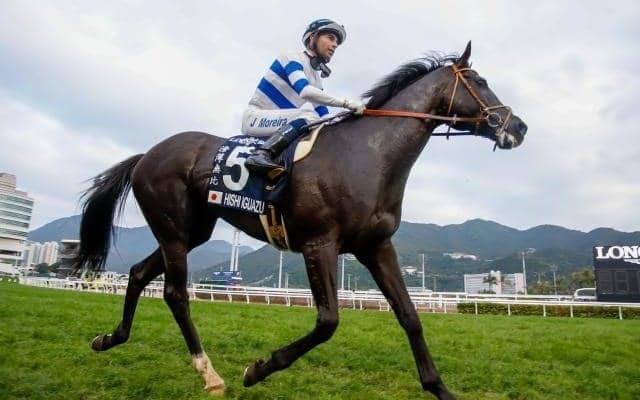 【中山記念予想】リピーター＆中盤人気好走傾向強め？ 過去10年データで狙うGII中山記念！