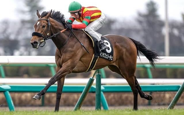 【デイジー賞結果】7番人気イゾラフェリーチェが逃げ切り連勝