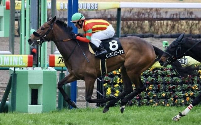 【デイジー賞】エフフォーリア半妹・イゾラフェリーチェが2連勝