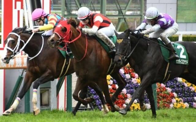 【阪急杯結果】ウインマーベルが大接戦を制し重賞連勝！