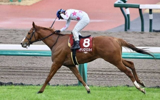 【中山記念】横山典「上手に走ってくれました」マテンロウスカイが重賞初制覇