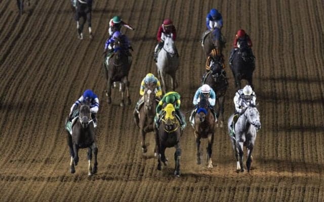 【サウジカップ】坂井「いつかサウジカップを勝てるように頑張る」レモンポップは見せ場なく敗退